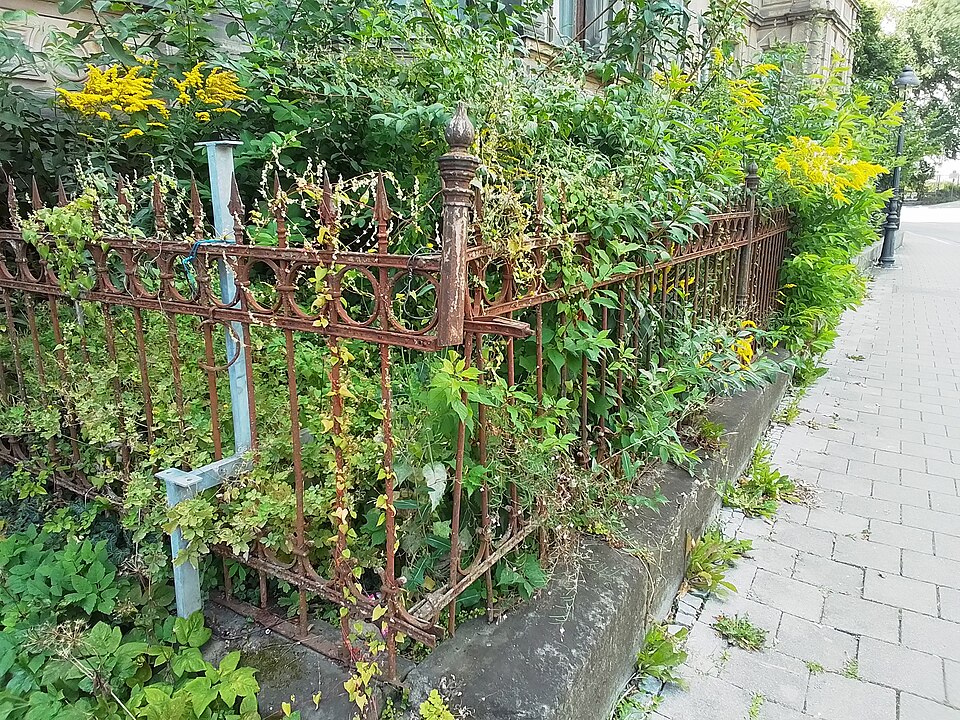 in Kulmbach