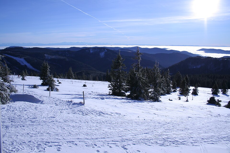 Oben im Hochschwarzwald