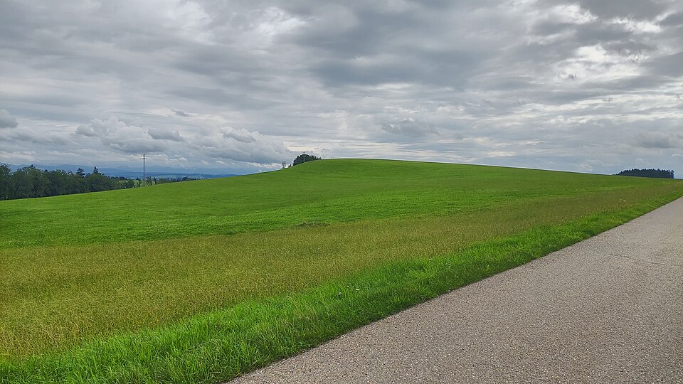in Wangen im Allgäu