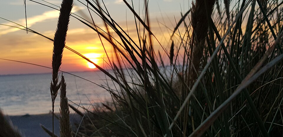 auf Föhr