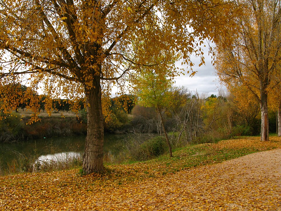 in Madrid