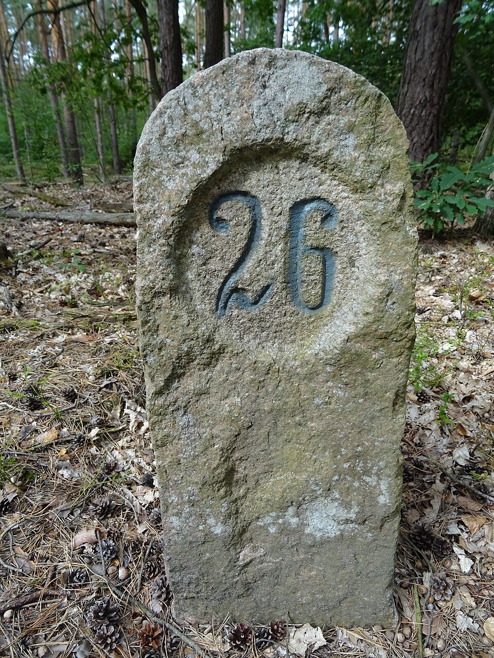 Nationalpark Waren(Müritz)