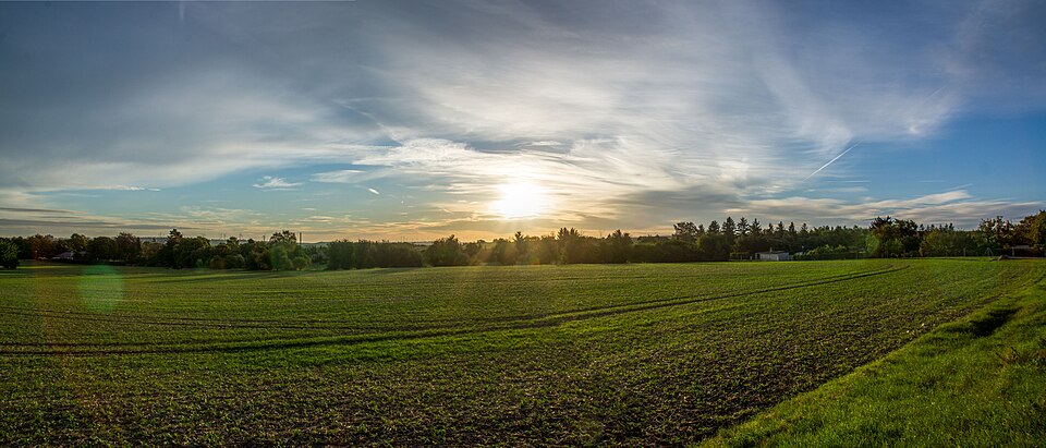 in Bad Langensalza
