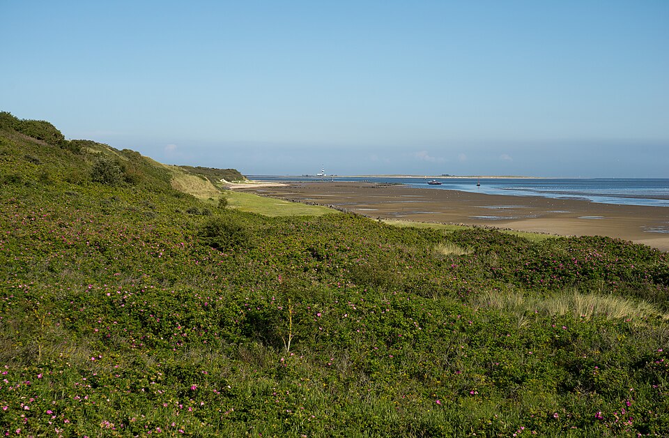 Wangerooge Wattseite