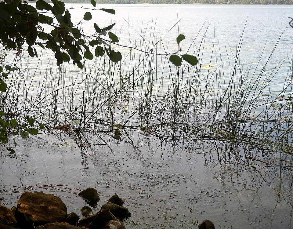Laacher See Mofetten