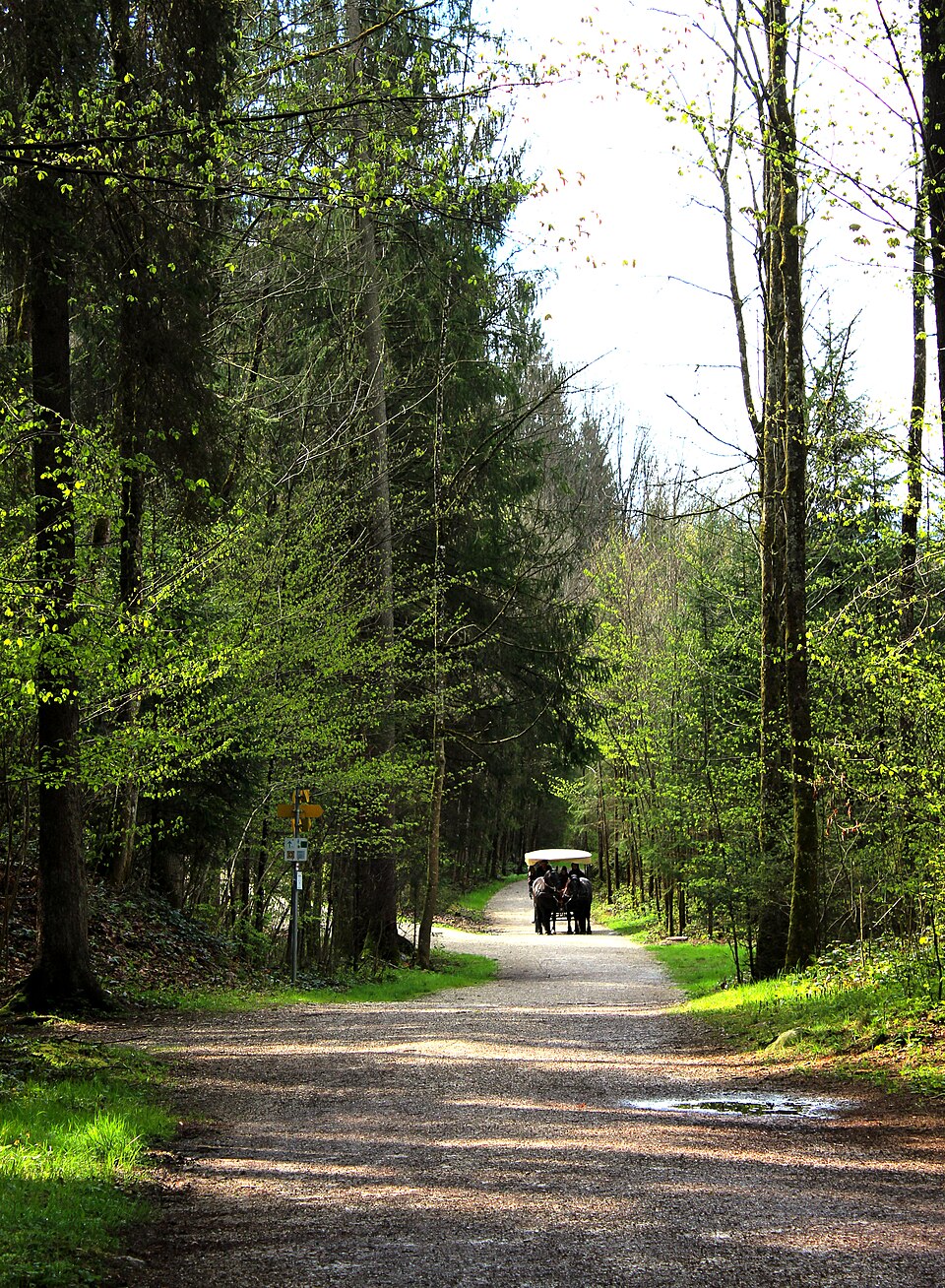 Berchtesgaden cart
