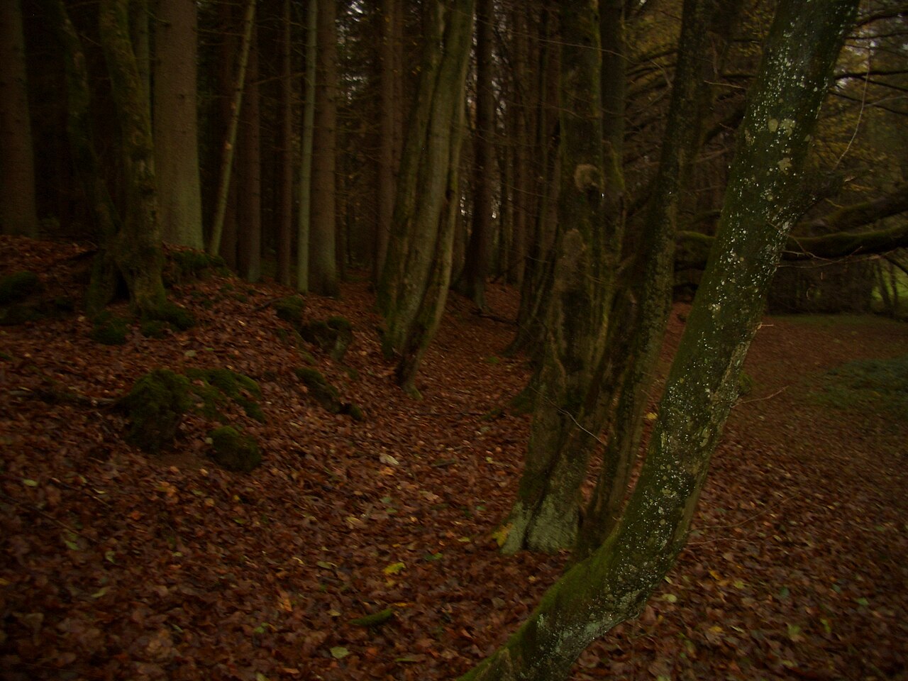 MuehlgrabennNordwest