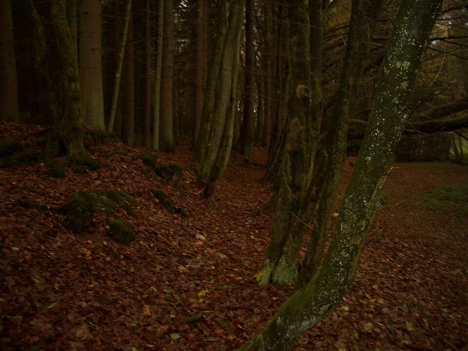 MuehlgrabennNordwest