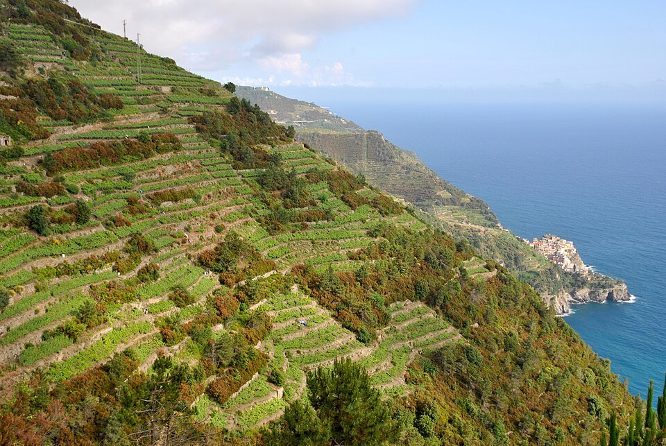 Cinque Terre