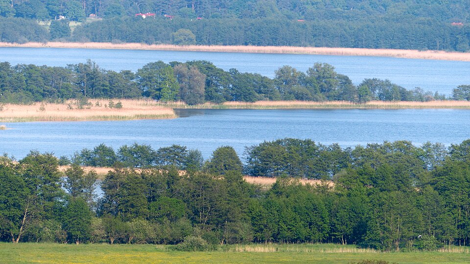 Gothensee Südteil Dammreste