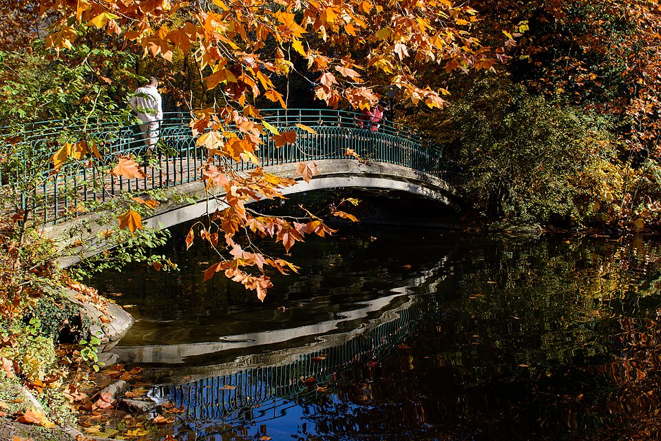 Rombergpark Dortmund