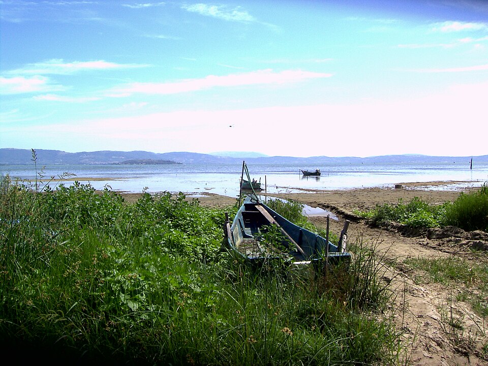Trasimenodried