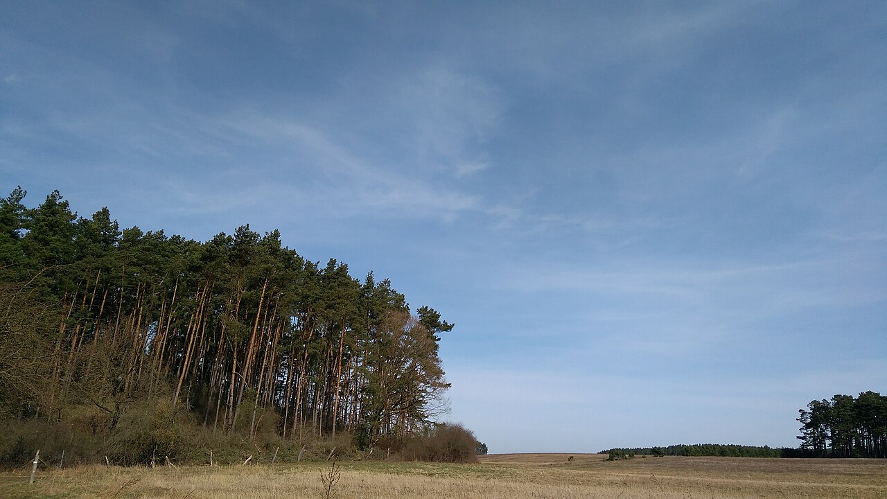 Waren Biosphare