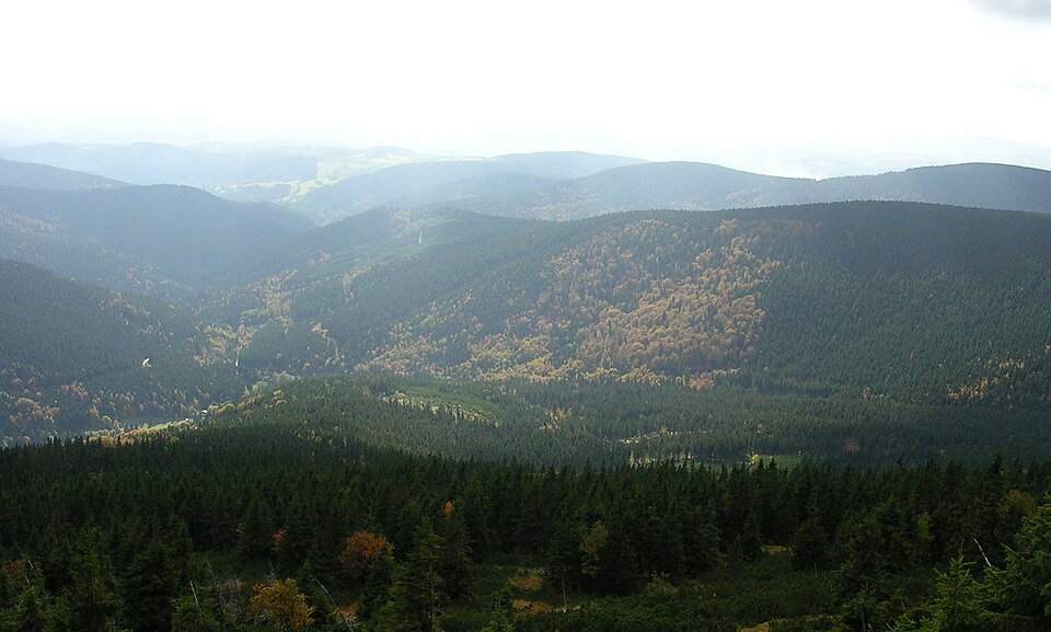 im Elbsandsteingebirge
