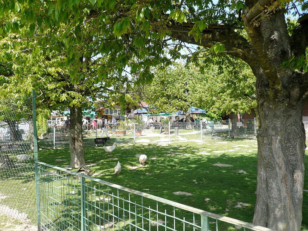Lenzenberg