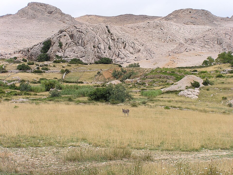 Island Pag pepanos
