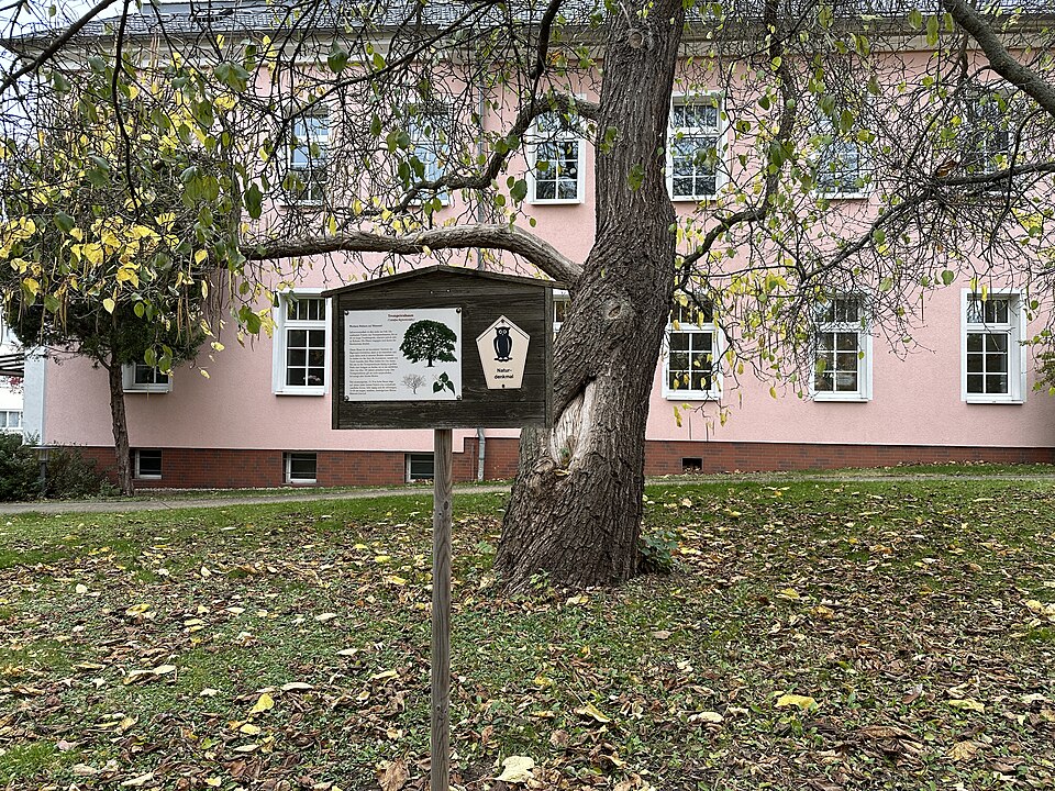 in Werdau