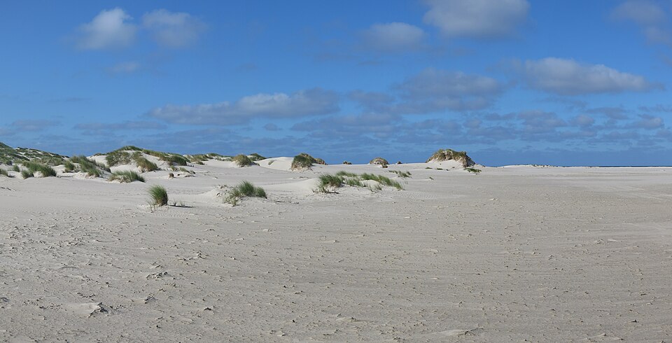 Amrum