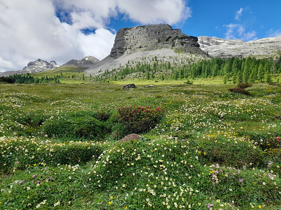 in den Dolomiten