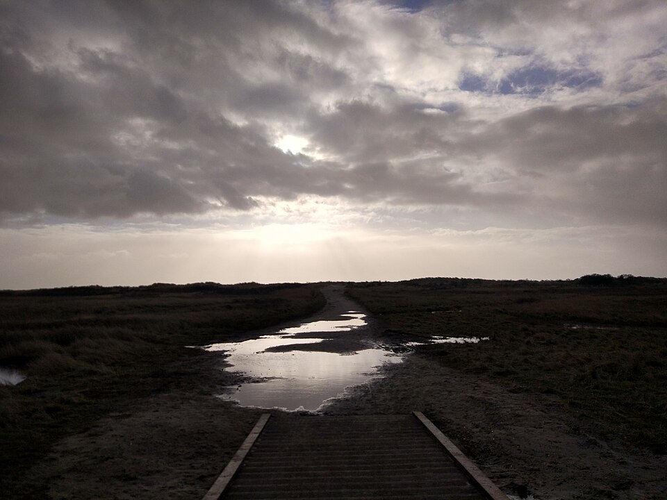 auf Borkum