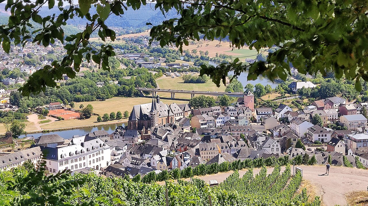 Blick vom Weinberg