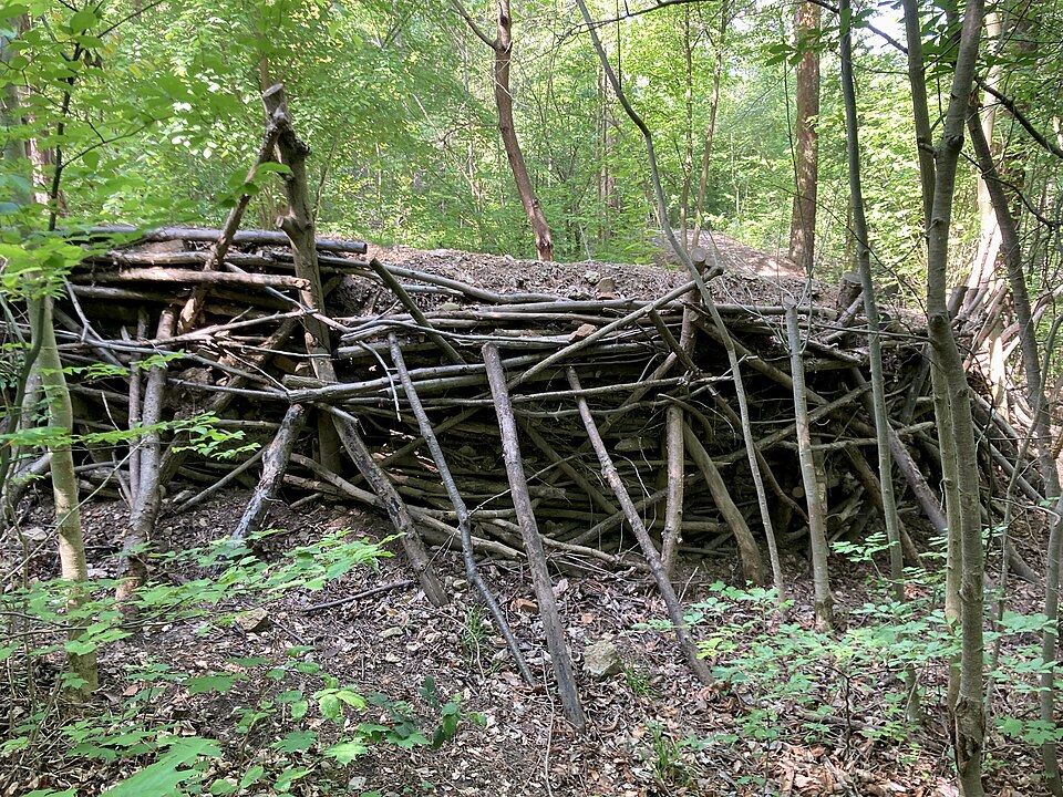 MTB Erfurt - Trailpark Tannenwäldchen