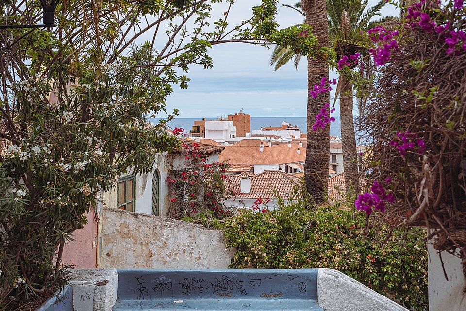 in Puerto de la Cruz