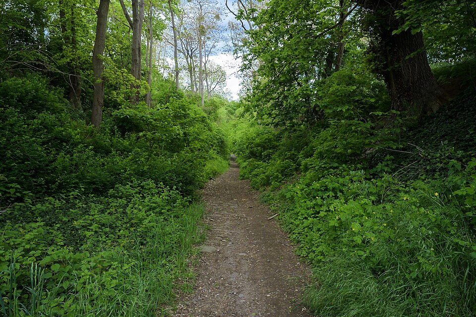 Alte Mayener Hohl