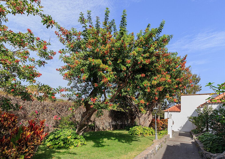 La Gomera
