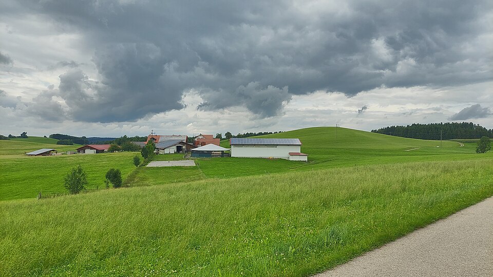 in Wangen im Allgäu