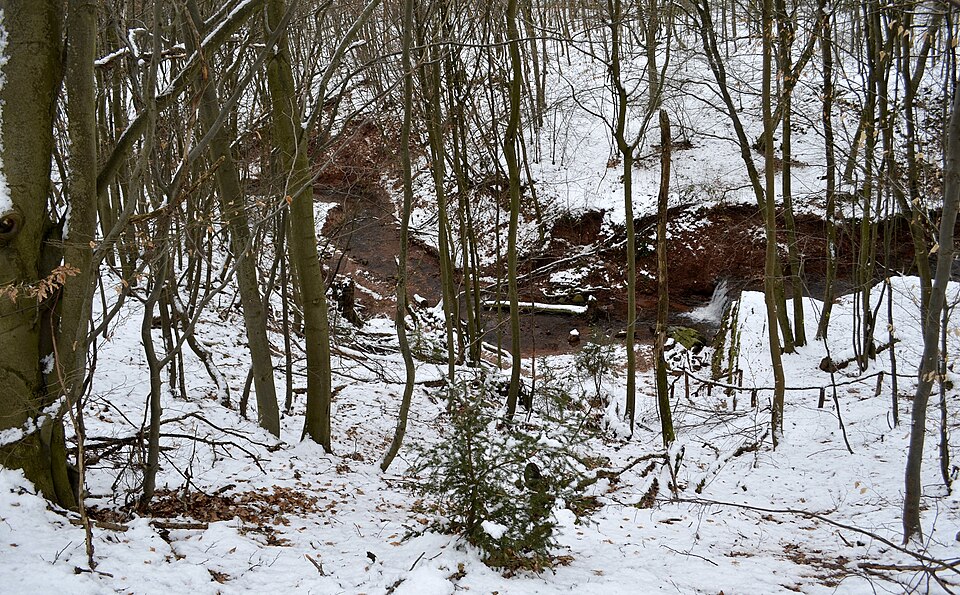 Mühlenbach Schlucht