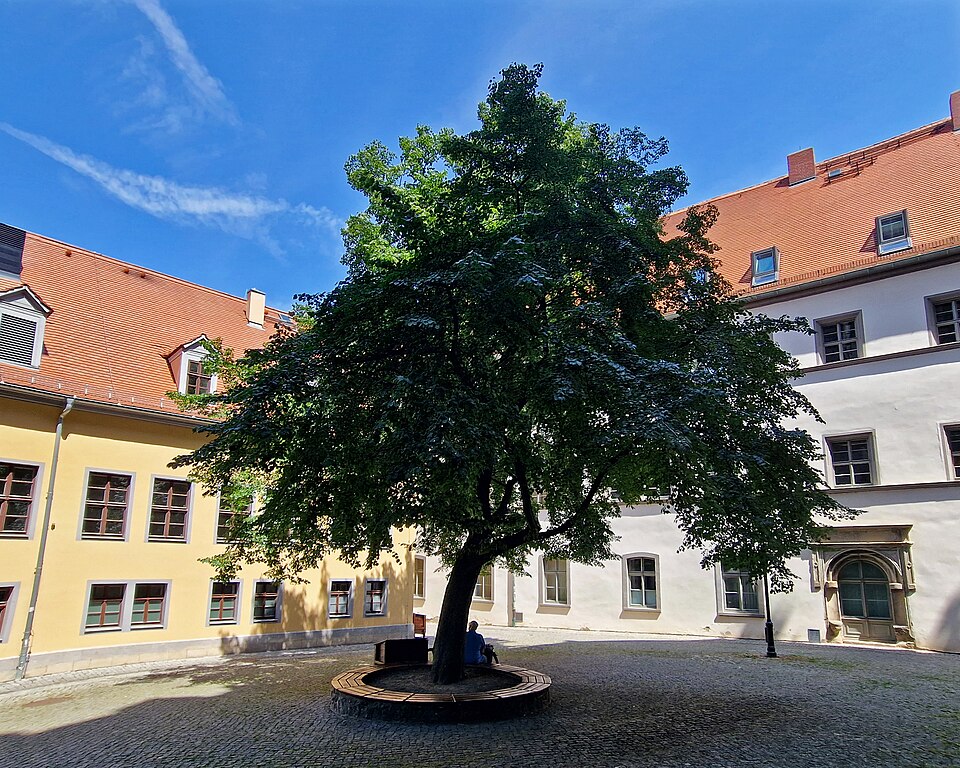 in Naumburg