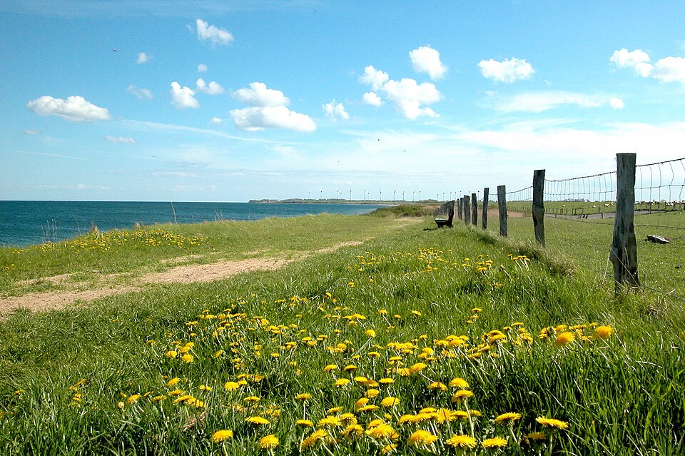 Fehmarn Nord Ost Strand