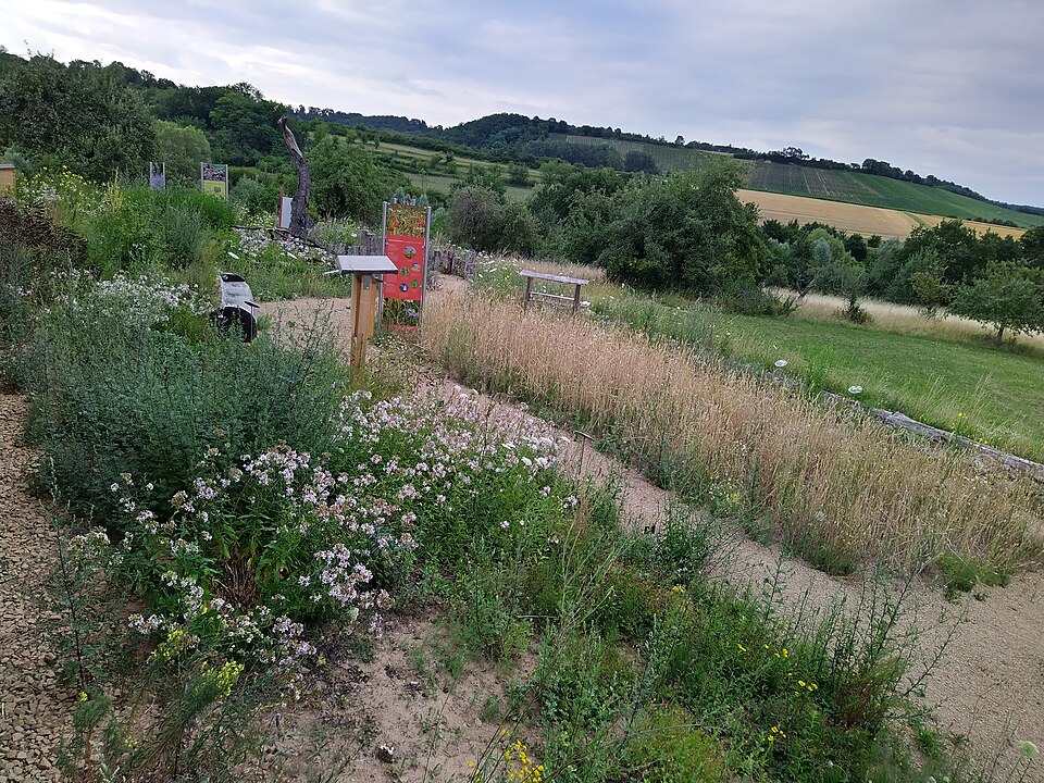 Nature Park Stromberg-Heuchelberg