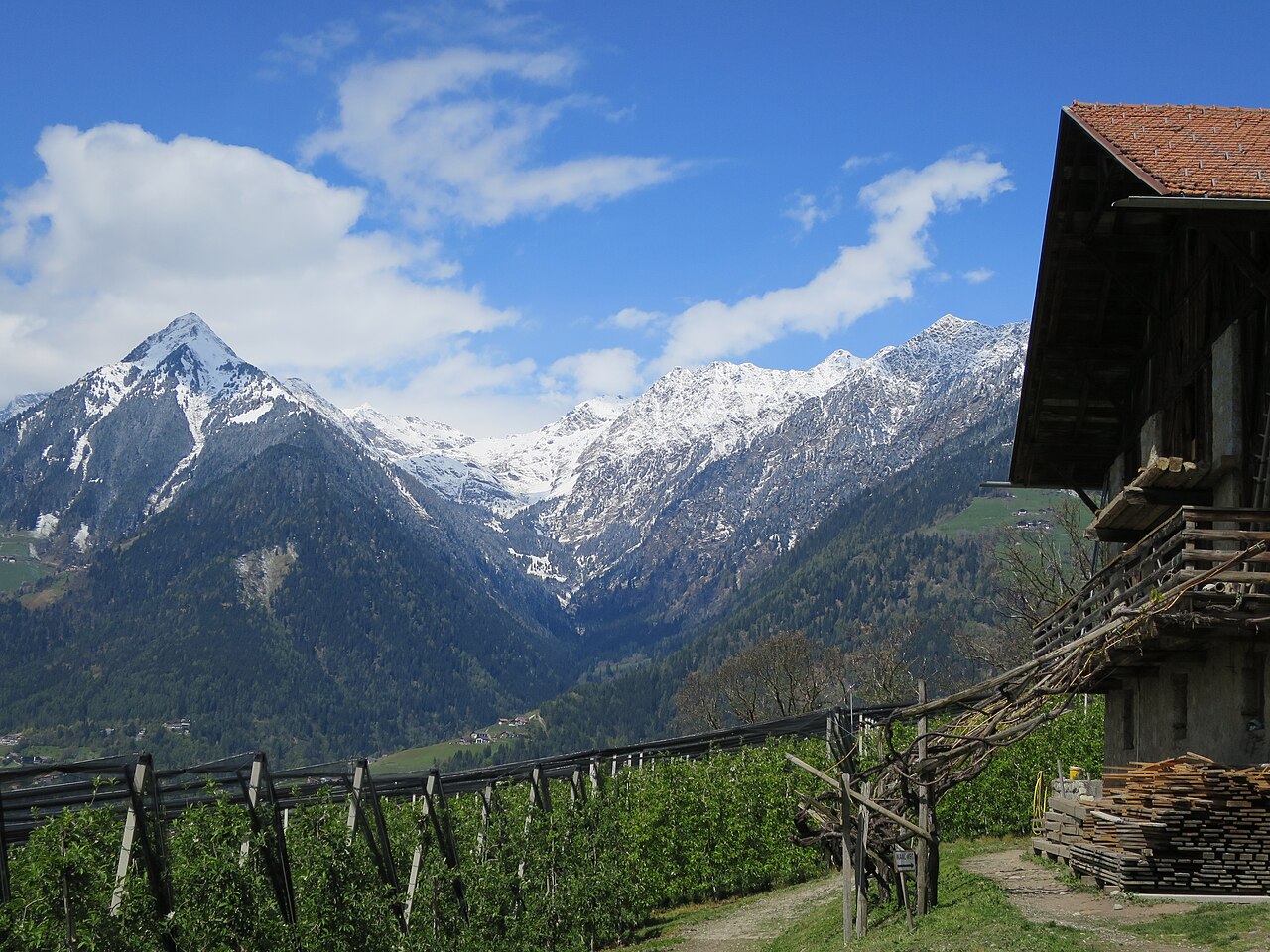 Bergblick Schenna