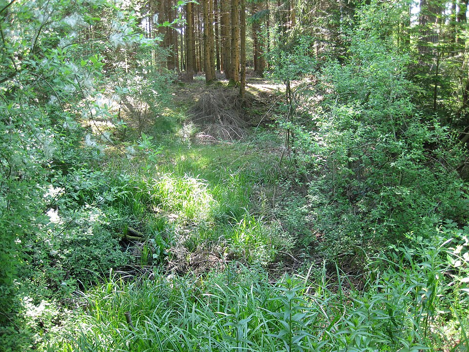 in Horb am Neckar