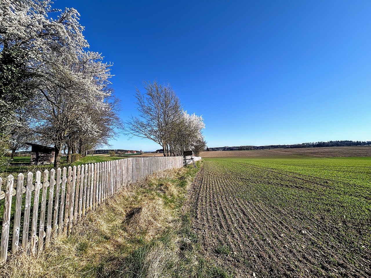 Münchener Berg