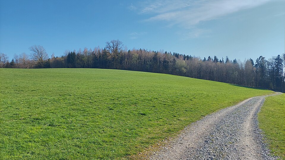 in Wangen im Allgäu