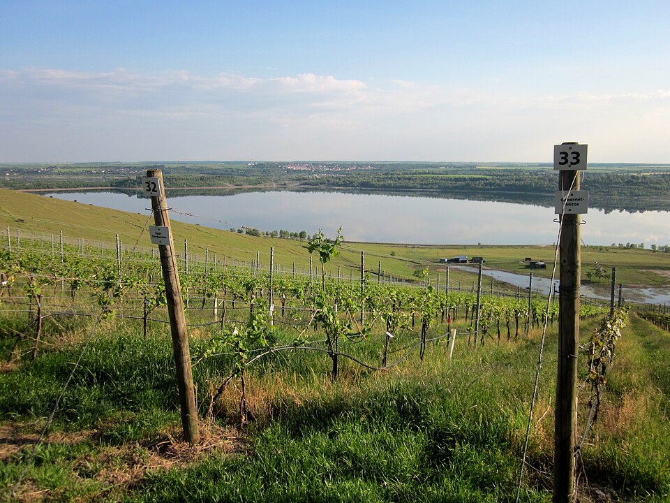 Geiseltalsee