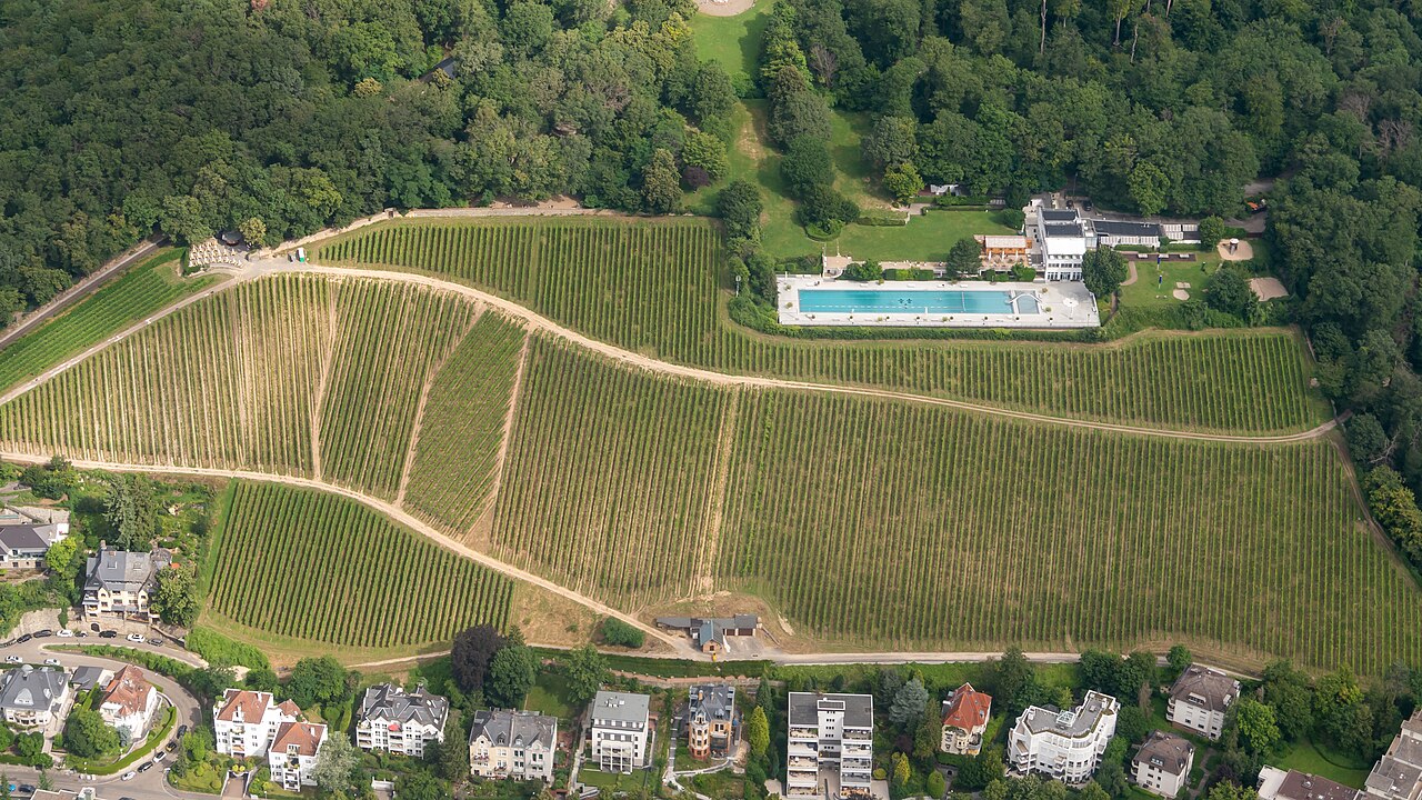 Rheingau