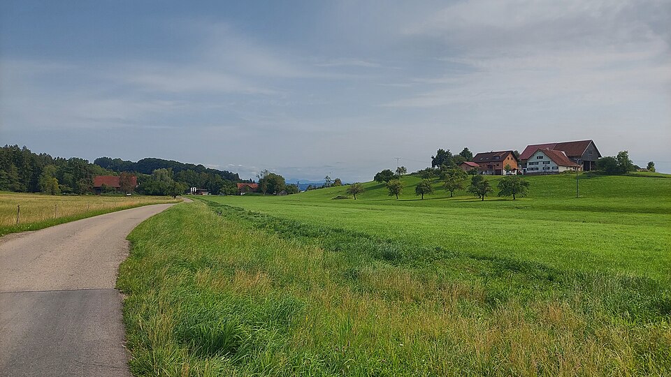 in Wangen im Allgäu