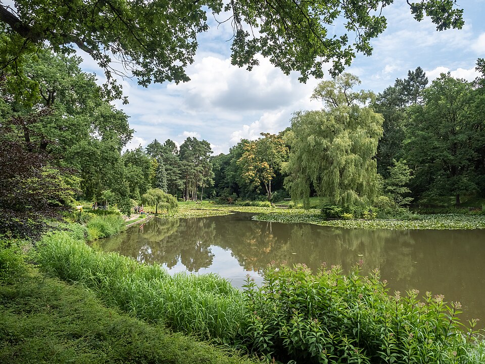 Hainweiher Bamberg (Hain)