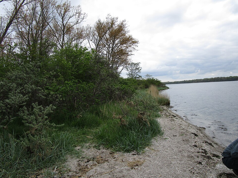 Südlicher Priwall Nature Reserve
