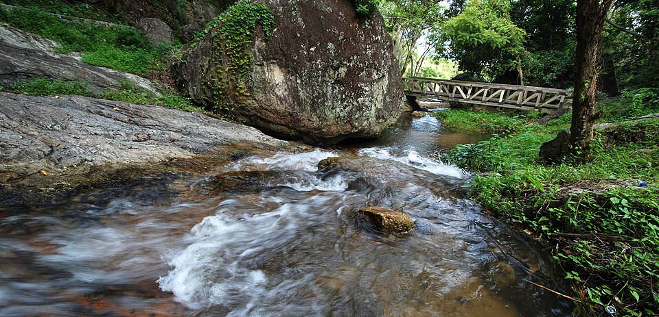 in Chiang Mai